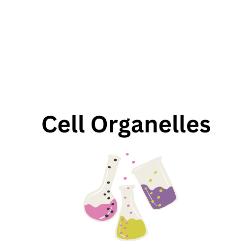 Cell Organelles